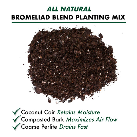 Better-Gro Bromeliad Blend 8 Qt micro-nutrients detail indicates balanced nourishment.