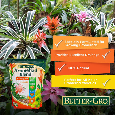 Better-Gro Bromeliad Blend 8 Qt root development supports sturdy bromeliads.