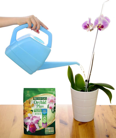 Better-Gro Orchid Plus endorsed by American Orchid Society for trusted orchid care.