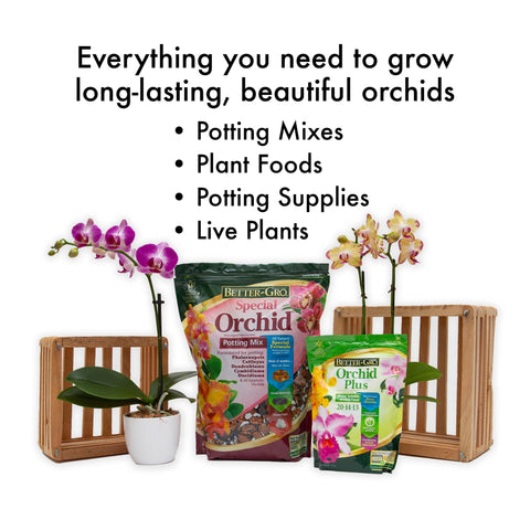 Better-Gro Orchid Plus complements bloom boosters for vibrant orchid displays.