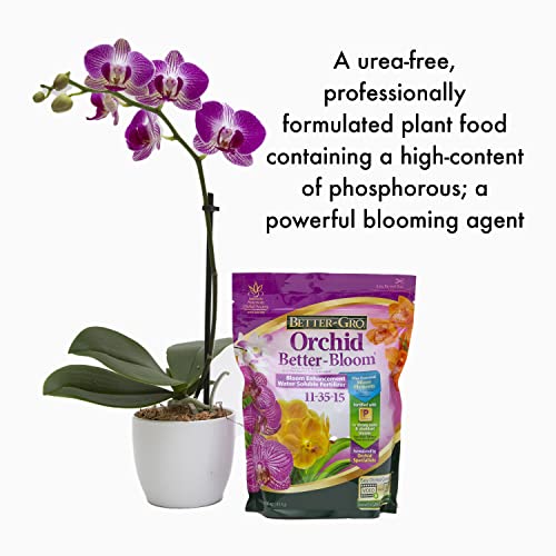 Better-Gro Orchid Plus Bloom Booster with dosage teaspoon for precise feeding