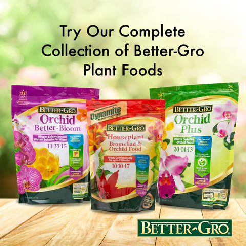 Better-Gro Orchid Plus Bloom Booster ideal for indoor orchids and houseplants