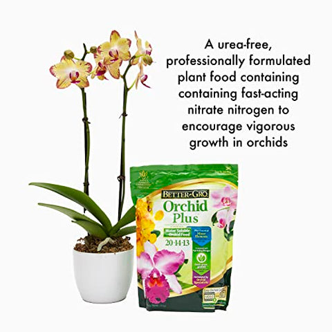 Better-Gro Orchid Plus is urea-free, reducing leaf burn for healthy growth.