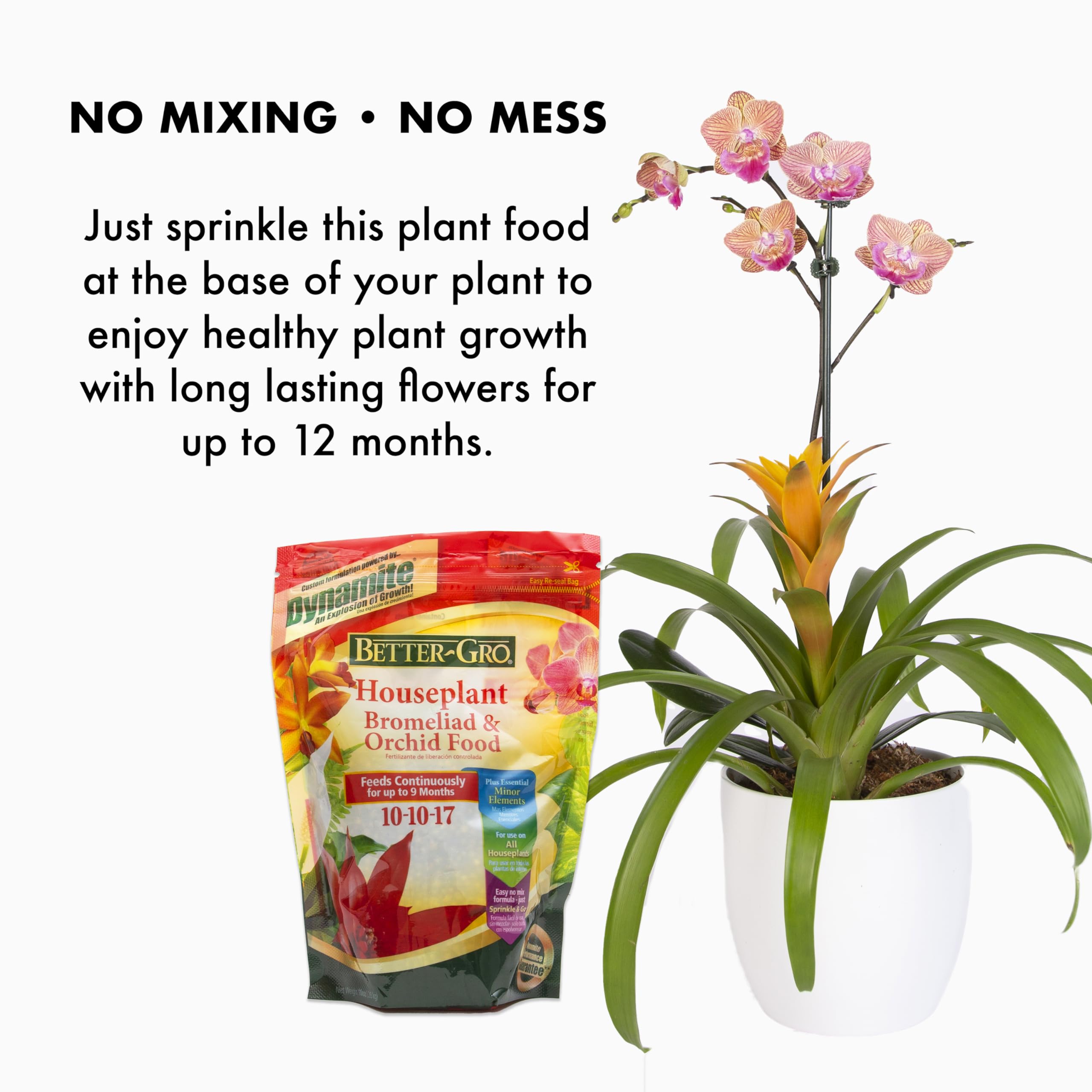 Better-Gro orchids and bromeliads thriving with steady nutrition and time-release formula.
