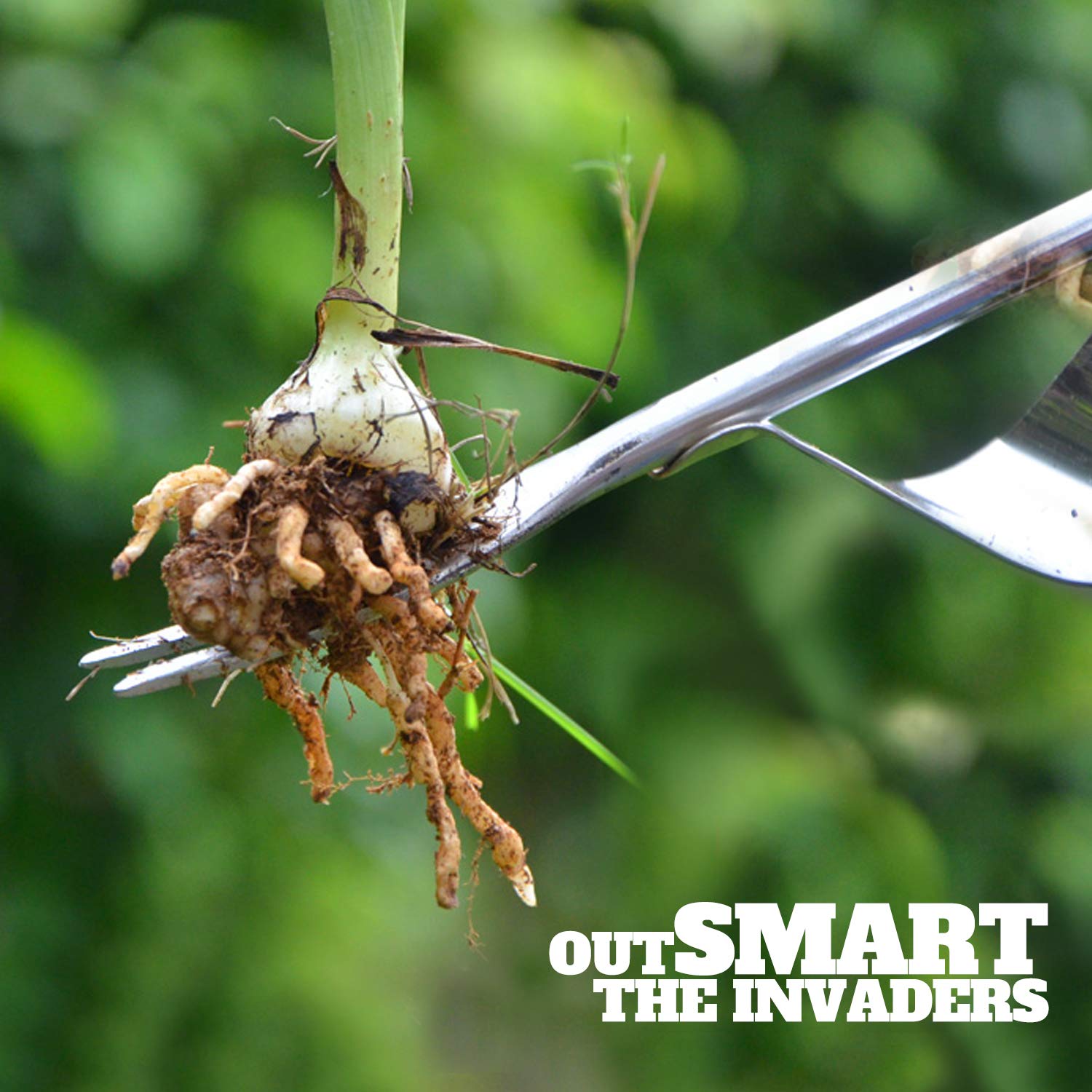Betus Manual Hand Weeder in action grabbing whole weed with notch