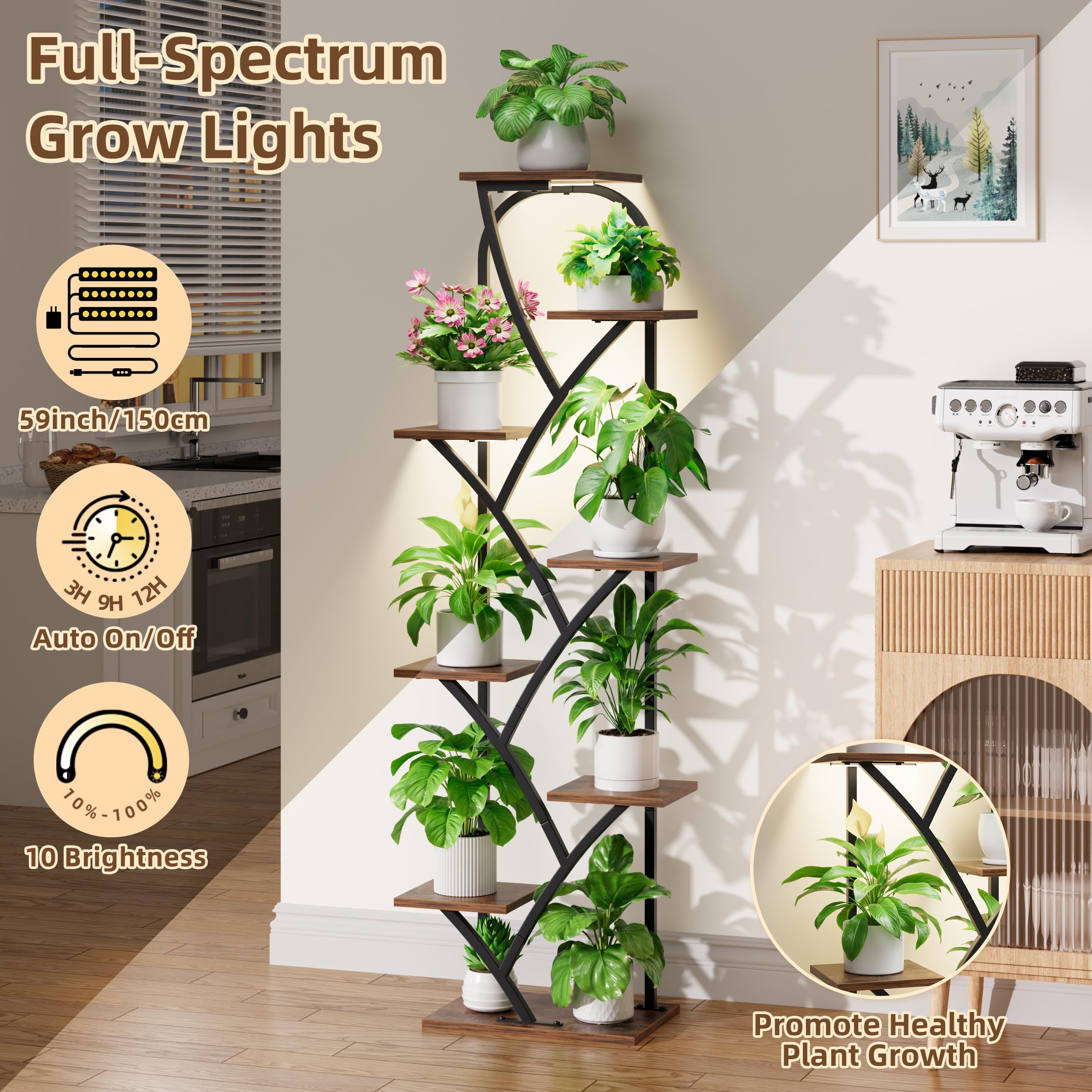 BEVAURORA corner display stand creates a stylish plant feature.