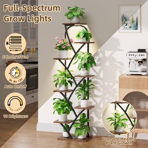 BEVAURORA corner display stand creates a stylish plant feature.