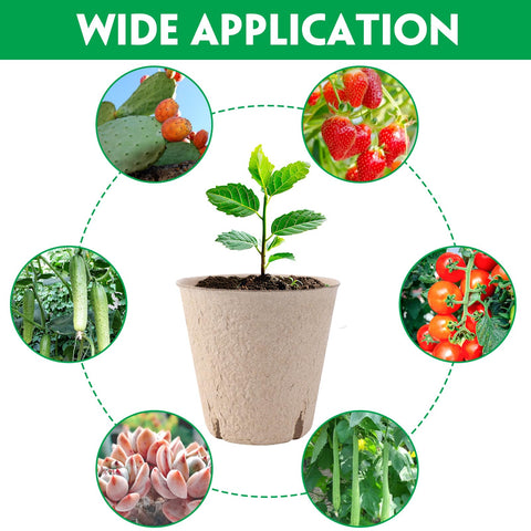 BEWBBAT germination pots support efficient seed starting and easy transplant readiness