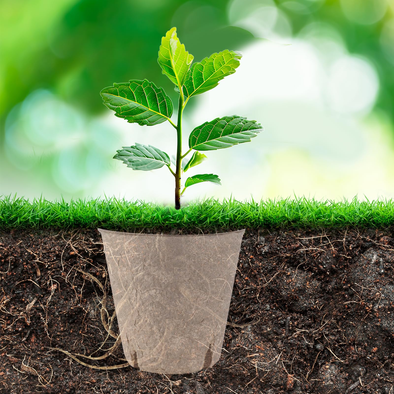 BEWBBAT seedling pots ideal for herbs, vegetables, and flowers