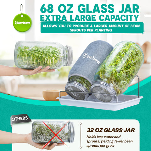 Bewbow drain tray keeps excess water away for clean sprouts