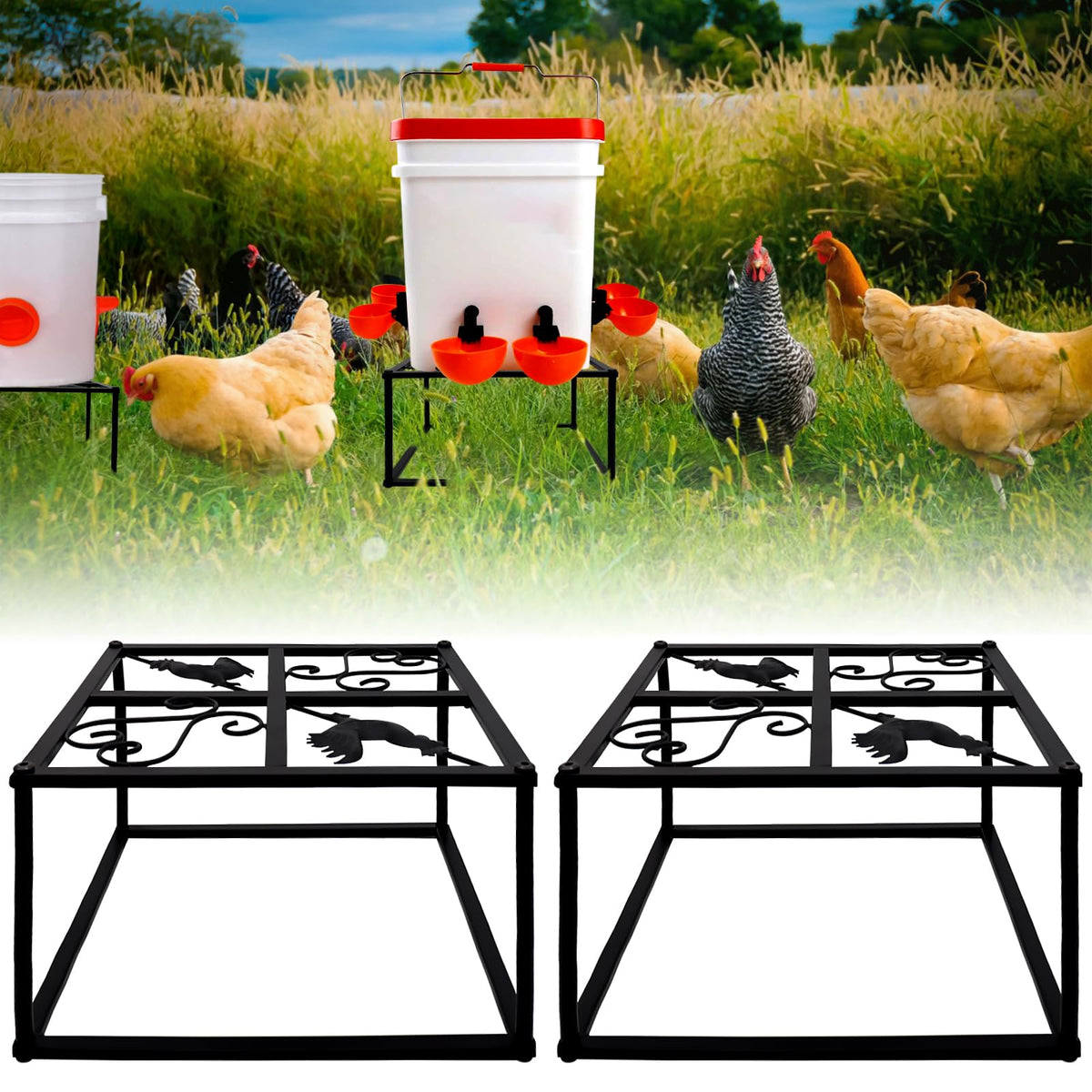 Beyoogeem chicken waterer stand front view—elevated for easy access.