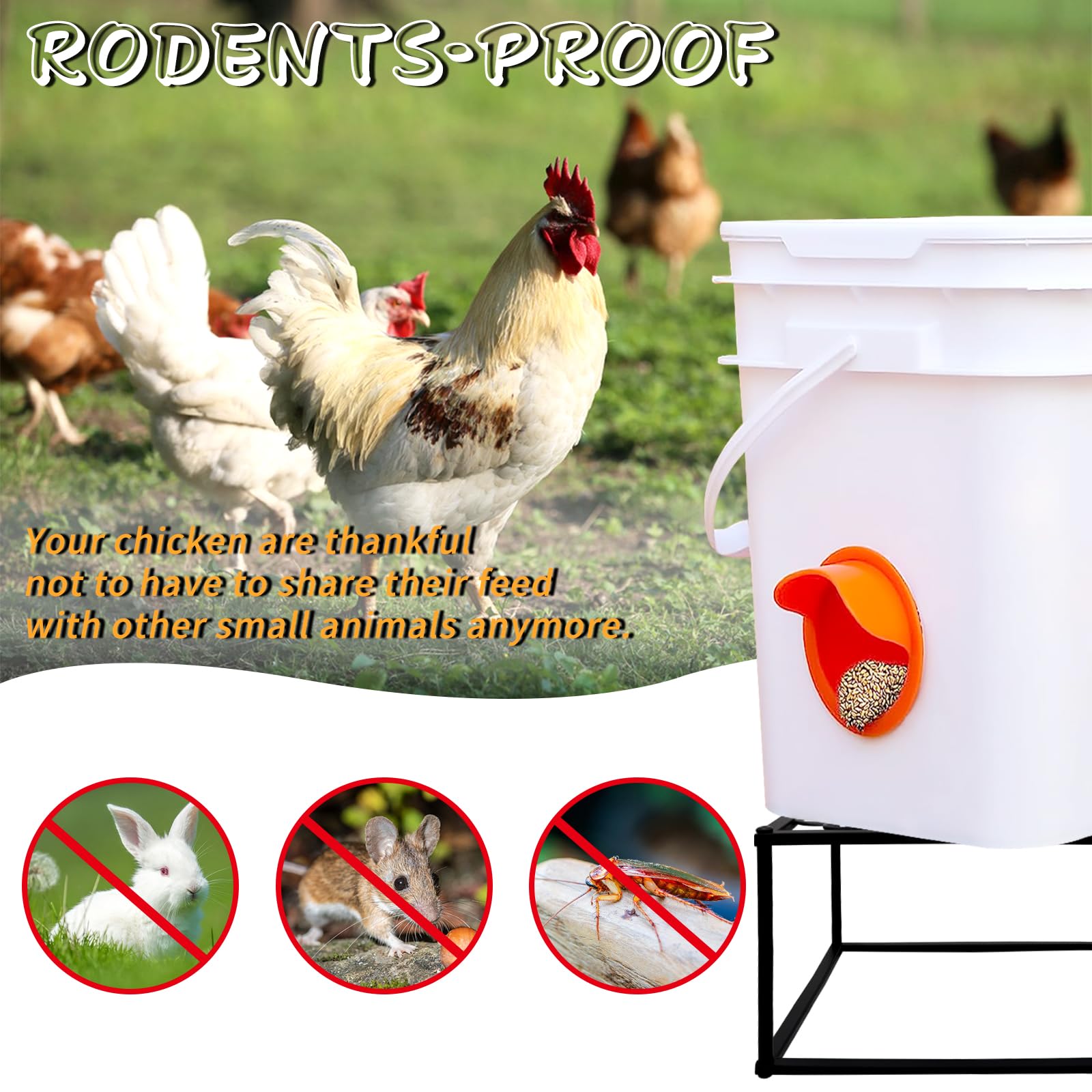 Beyoogeem stand with rooster design—adds coop charm and organization.