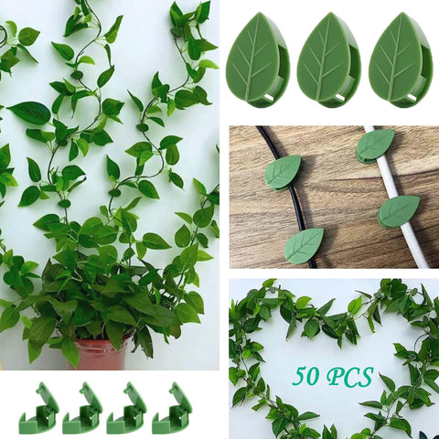 Beyoslf green ABS wall clips for indoor and outdoor use