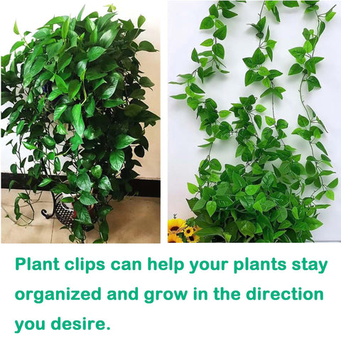 Beyoslf packaging shows 50 leaf-shaped clips and 50 invisible clips