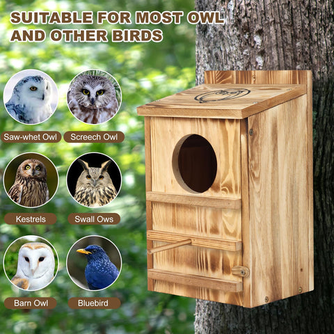 BFAZKXY Owl House assembly guide included for quick setup.