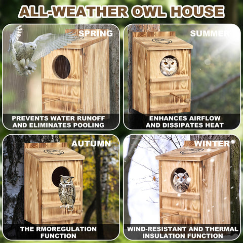 BFAZKXY Owl House close-up shows natural pine texture.