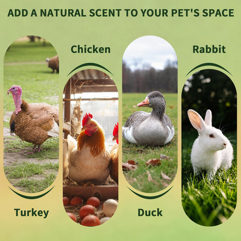 BGraceyy 11-ingredient herbal blend supports calmer nesting and shell quality