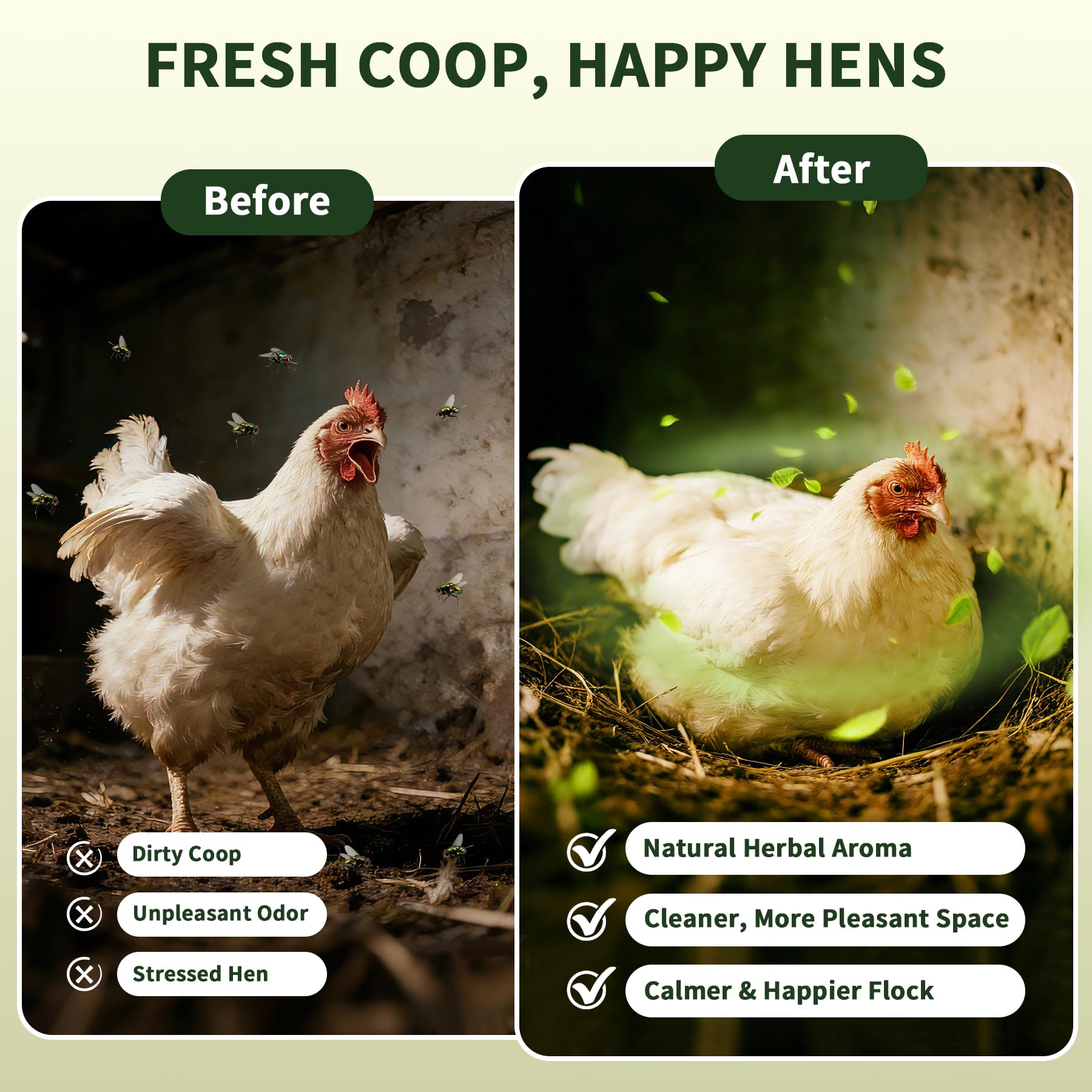 BGraceyy dust bath area with herbs for a cleaner, more comfortable coop experience
