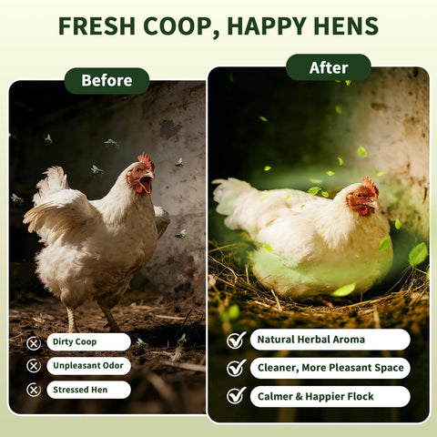 BGraceyy dust bath area with herbs for a cleaner, more comfortable coop experience