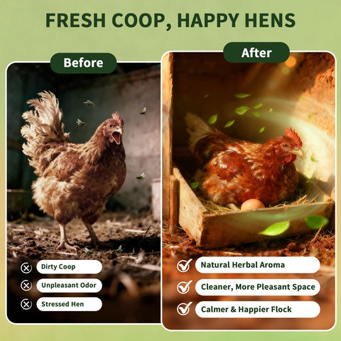 BGraceyy nesting box aroma promotes comfortable roosting and easy egg collection