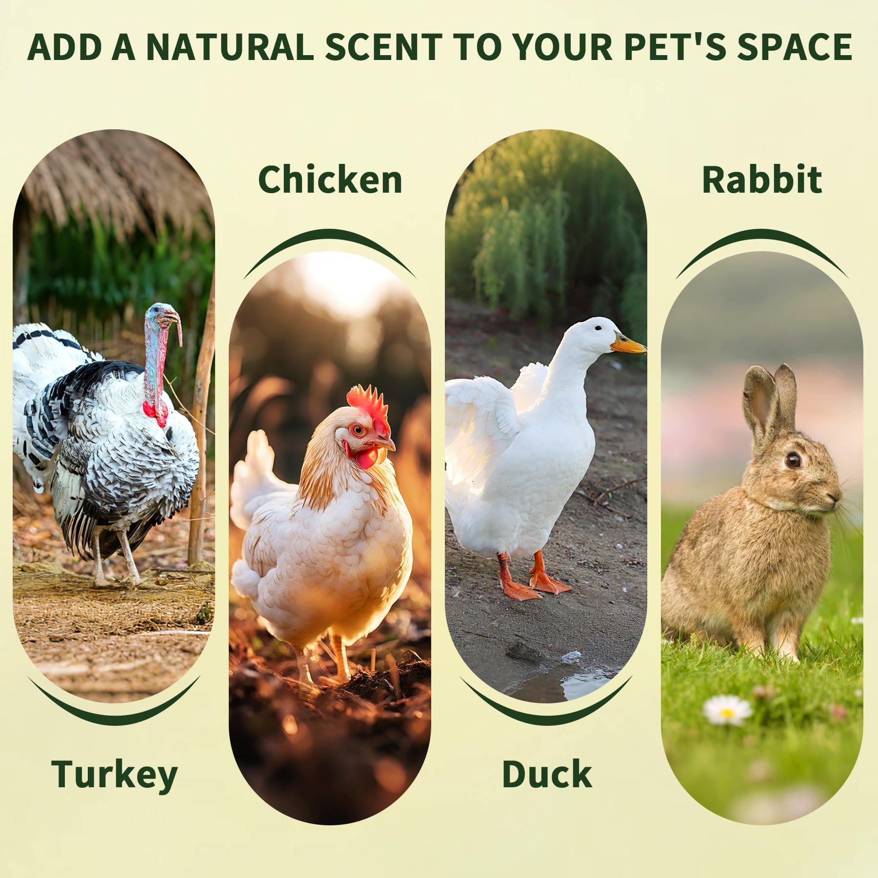 BGraceyy nesting herbs reducing floor eggs visual for easier egg collection