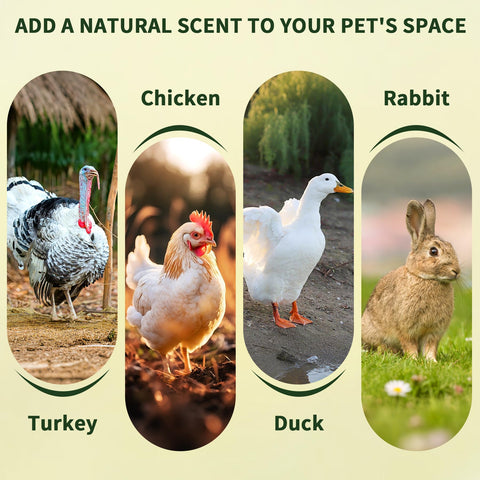 BGraceyy nesting herbs reducing floor eggs visual for easier egg collection