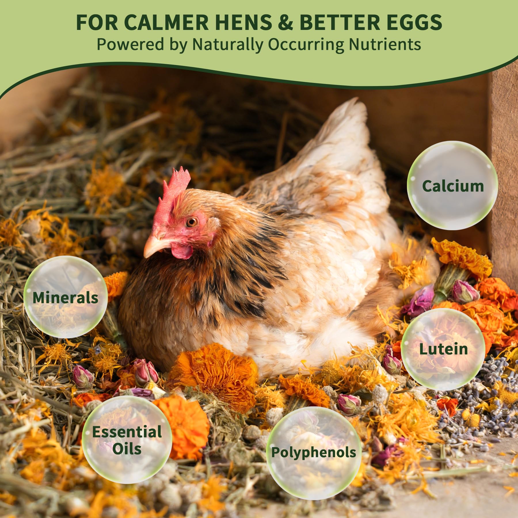 BGraceyy roost refresh herbs soothe the coop during seasonal changes