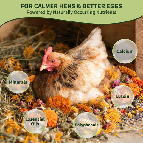 BGraceyy roost refresh herbs soothe the coop during seasonal changes