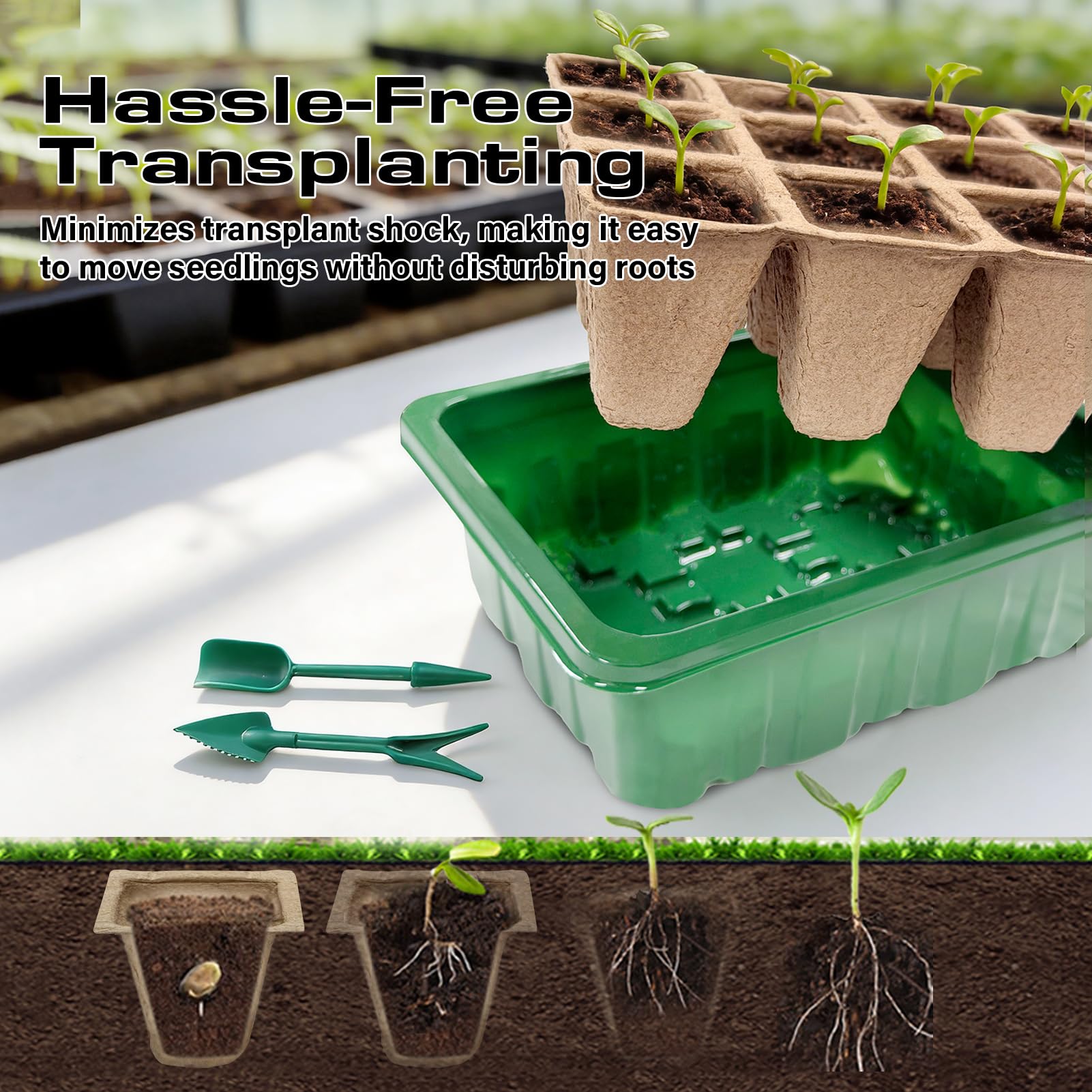 Bhyhok durable germination tray resists cracking and cleans easily for repeated use.