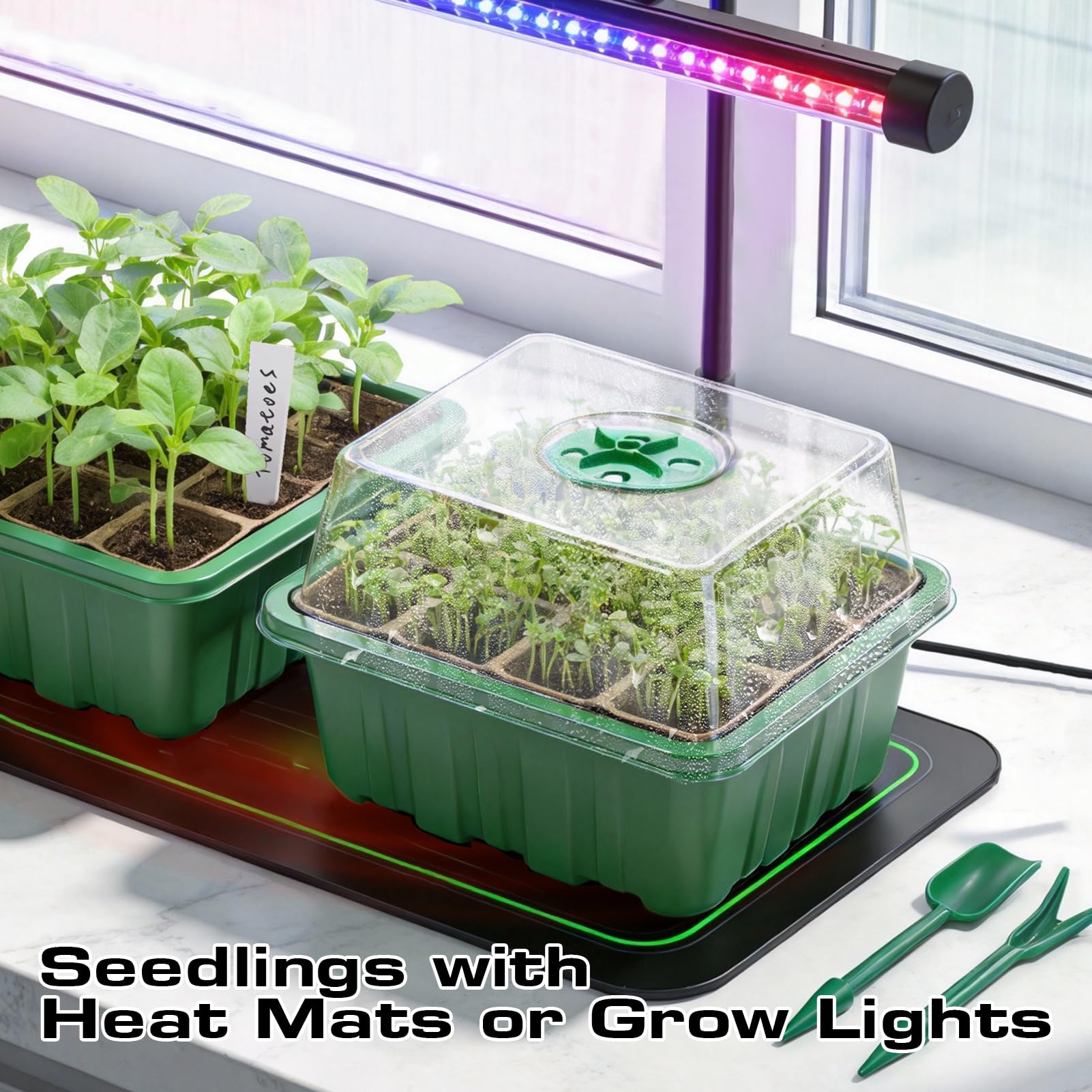 Bhyhok heat-mat-ready design supports faster germination when paired with a mat.