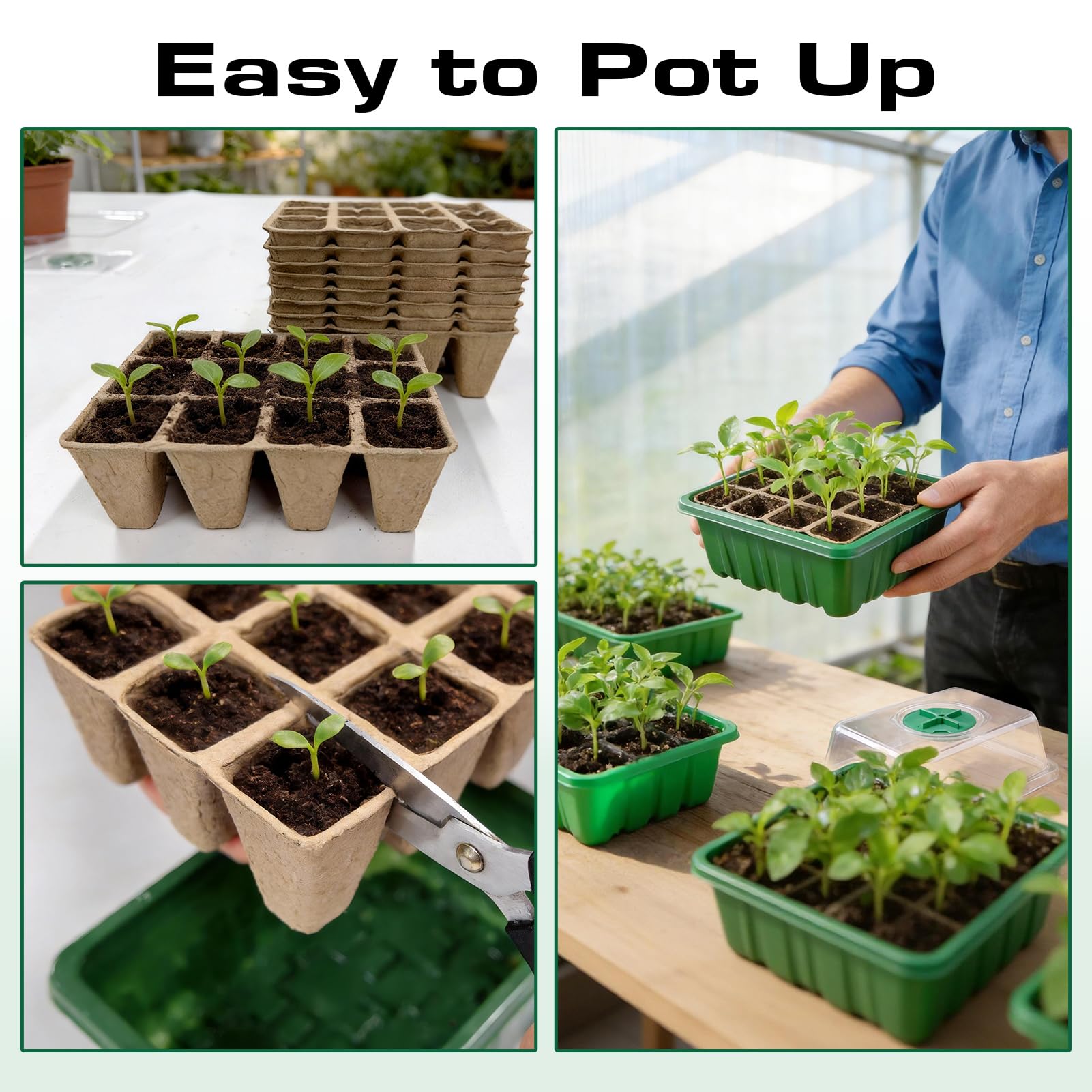 Bhyhok plant markers and mini tools included for precise seedling setup.