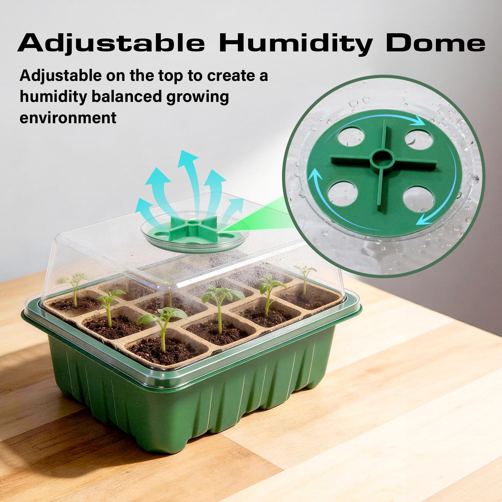 Bhyhok plantable pot designed for direct soil transplant and healthy root growth.