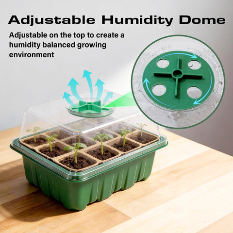 Bhyhok plantable pot designed for direct soil transplant and healthy root growth.