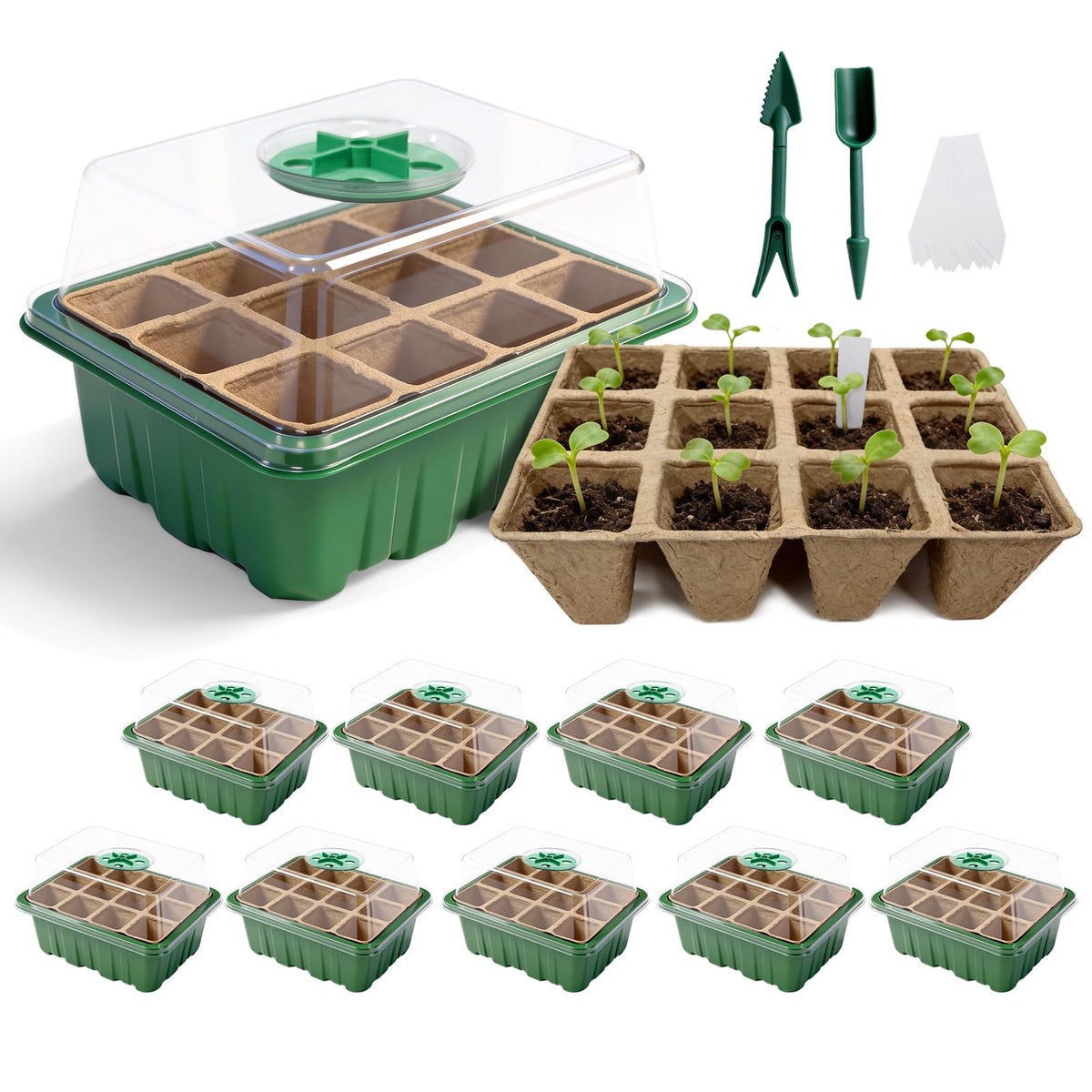 Bhyhok seed starter tray 120 cells for organized germination and planning.
