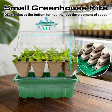 Bhyhok tray shows drainage holes to prevent overwatering during seedling care.