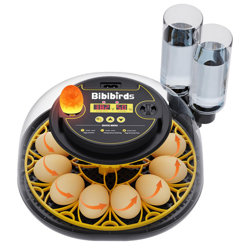 Bibibirds incubator shows automatic egg turning for even development.
