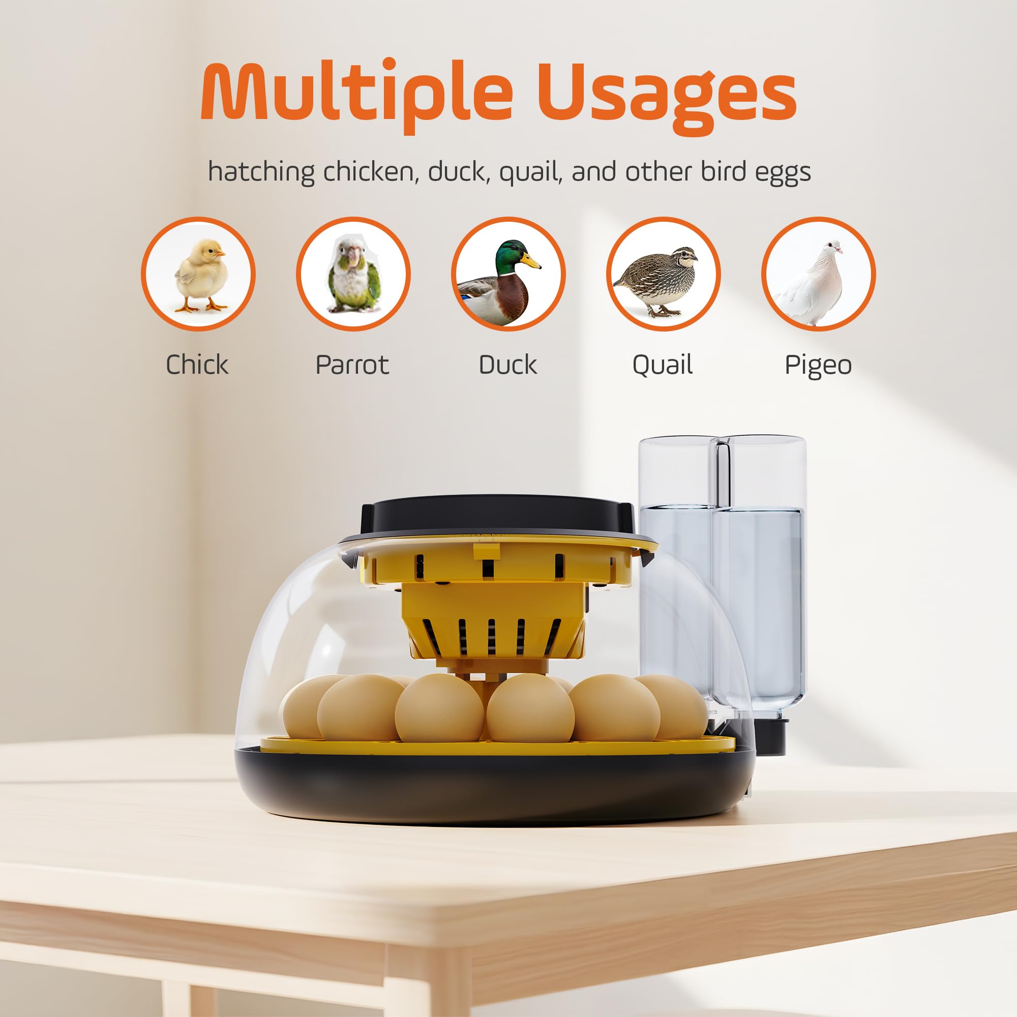 Humidity control and auto water fill maintain stable conditions.