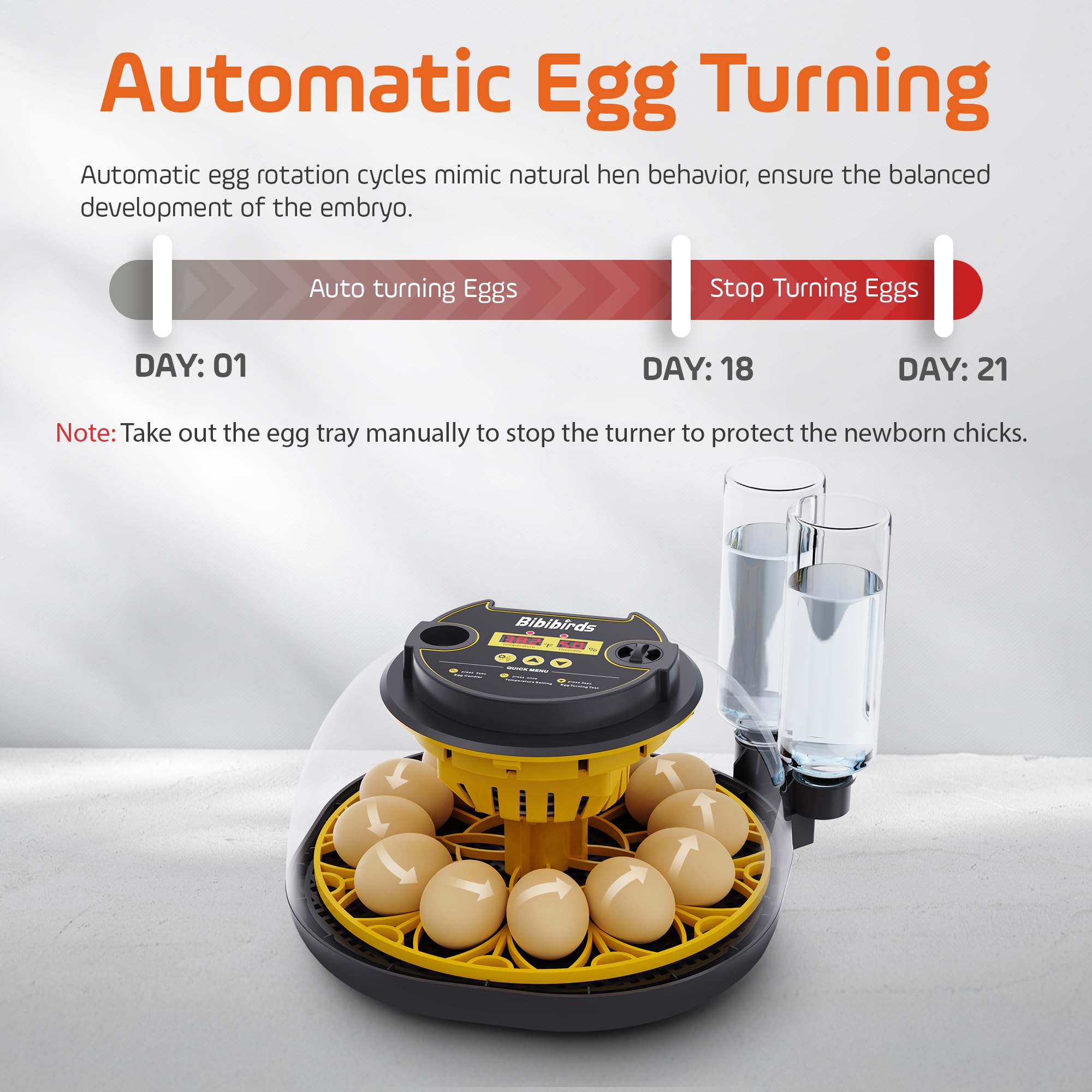 Bibibirds incubator temperature display enables precise control during incubation.