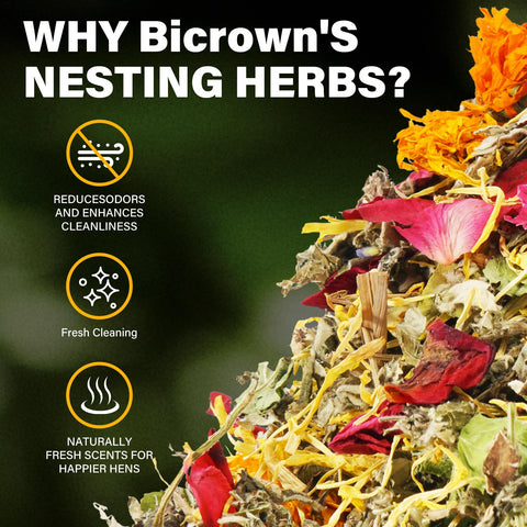 Bicrown lavender rose mint aroma close-up for calming nesting.