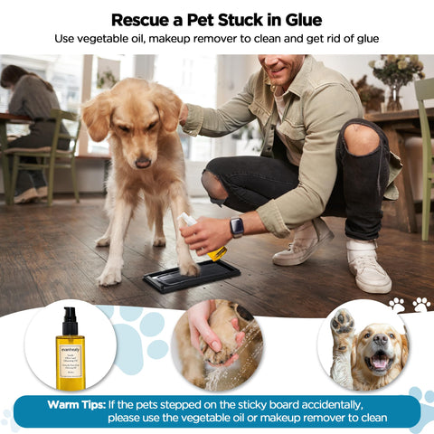 BietrunPro 12-pack glue traps provide cost-effective pest management.