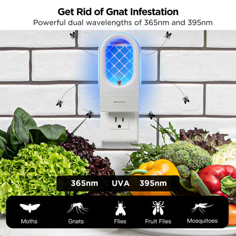 BietrunPro plug-in setup for indoor use with easy activation