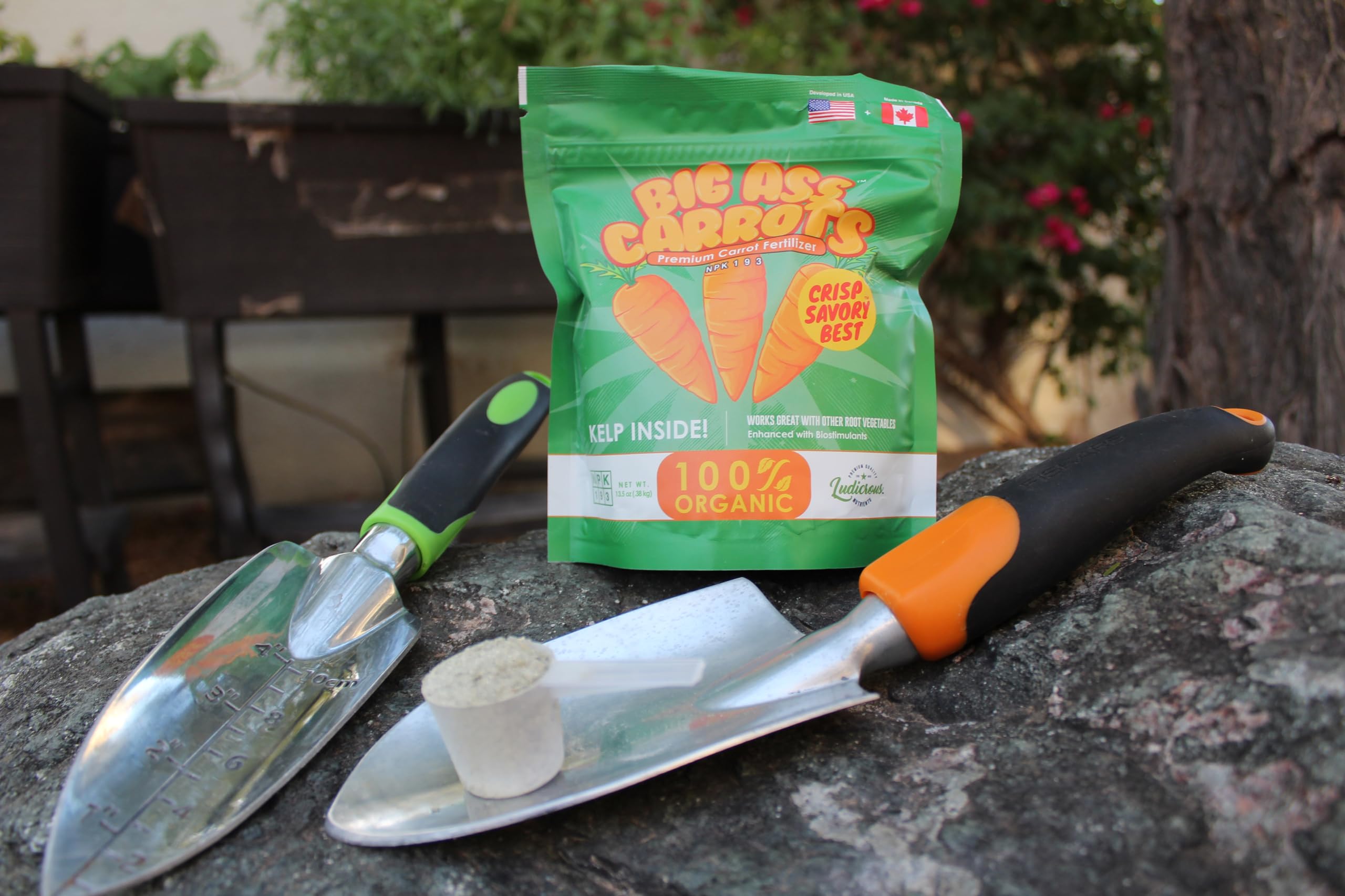 Big A Carrot Fertilizer used in indoor pots supports healthy harvests.