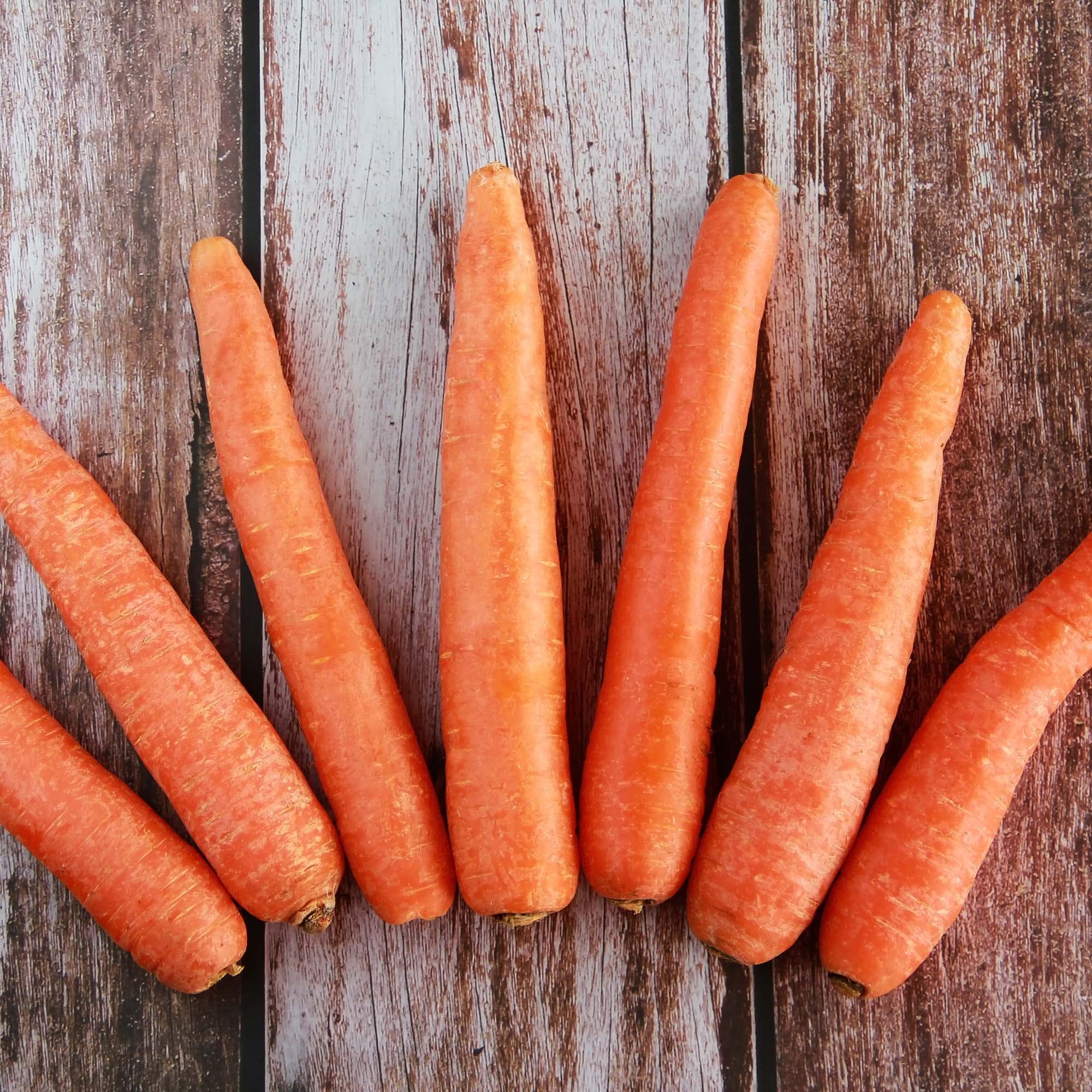 Big A Carrot Fertilizer applied to root crops boosts yield potential.