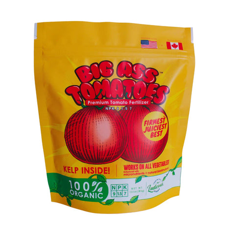 Big A Tomato Fertilizer kelp powder poured for quick nutrient delivery