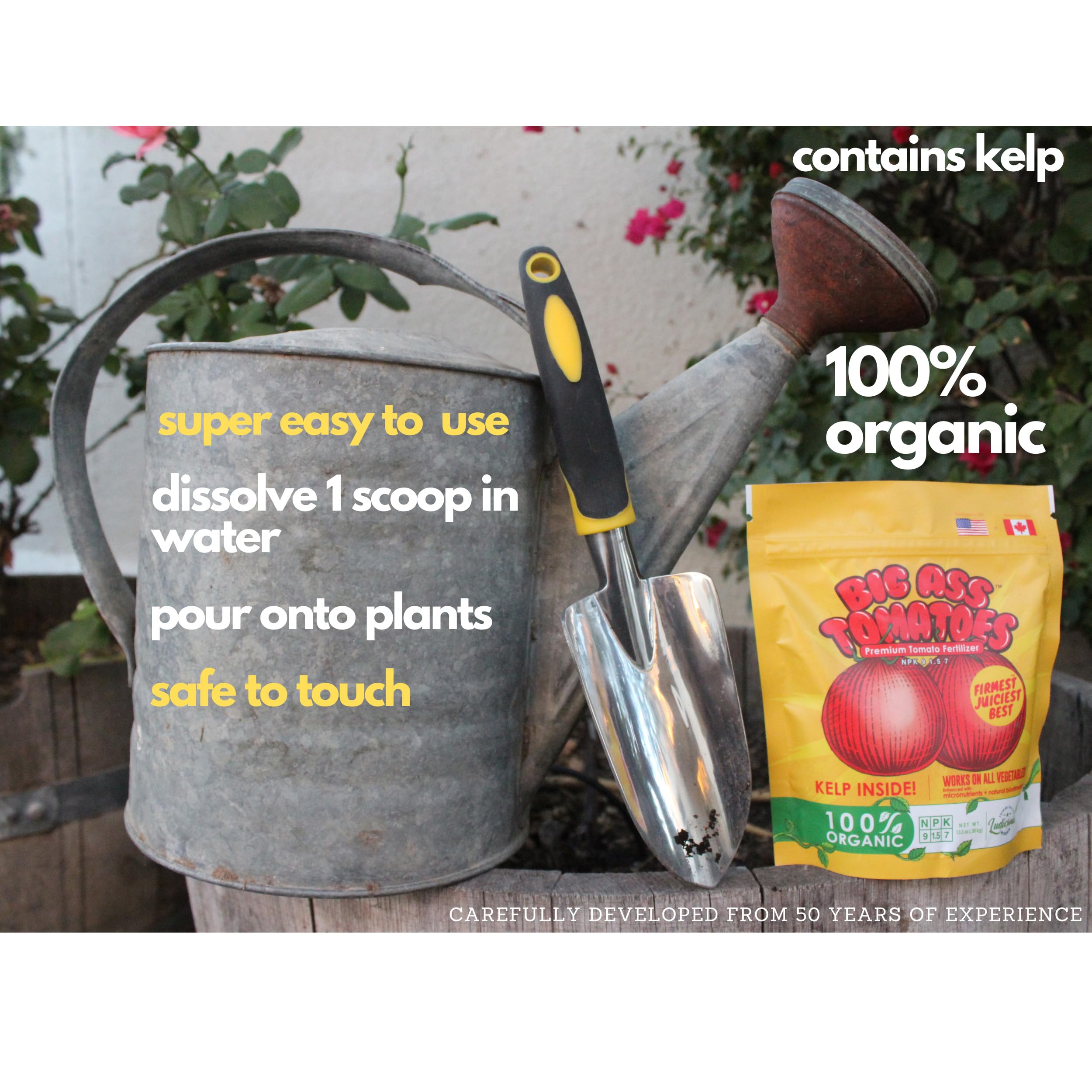 Measuring spoon with Big A Tomato Fertilizer ready to use
