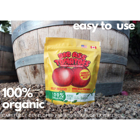 Outdoor vegetable garden benefiting from kelp based Big A fertilizer