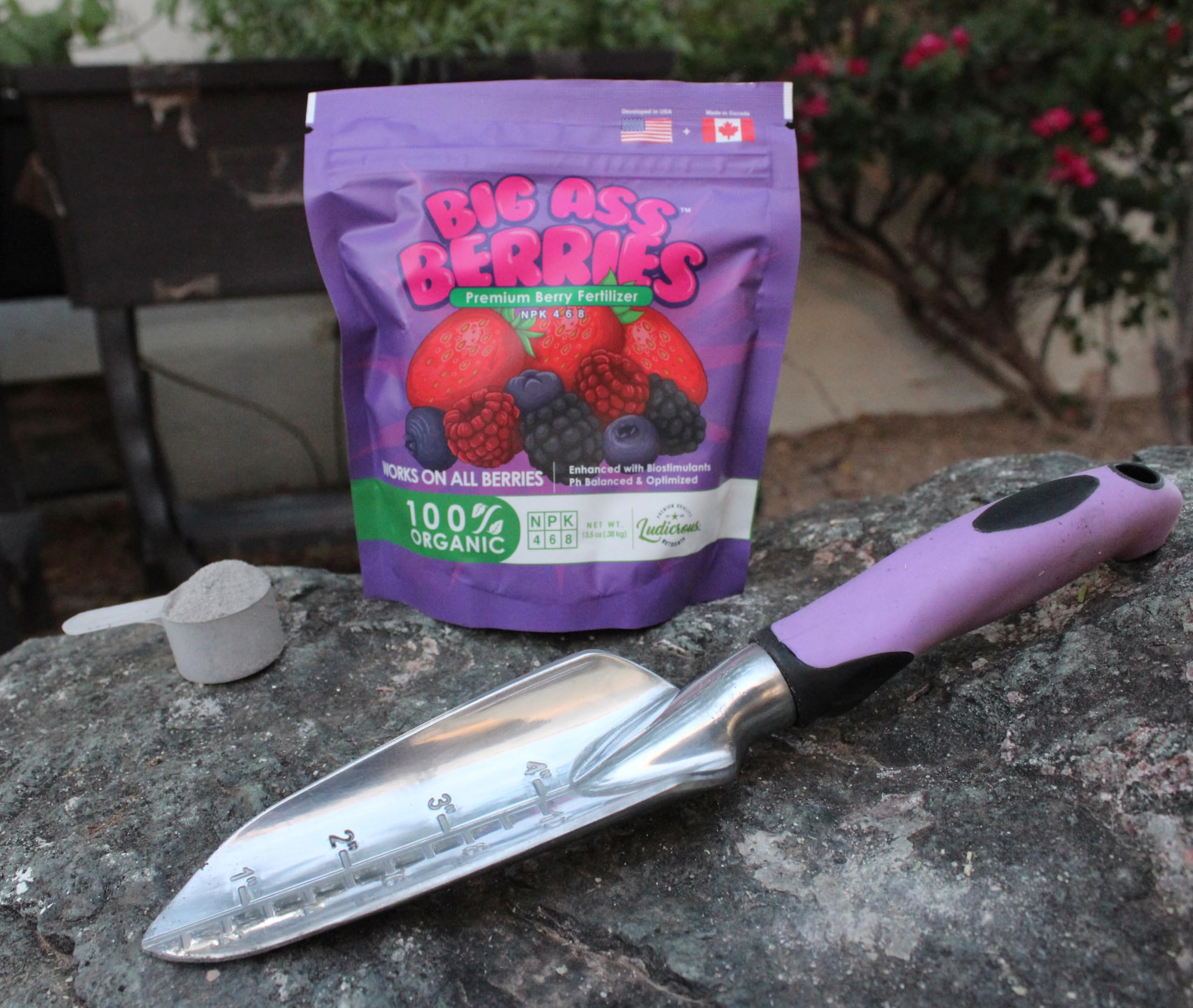 Big Ass Fertilizers Blueberry fertilizer bloom support for larger berries