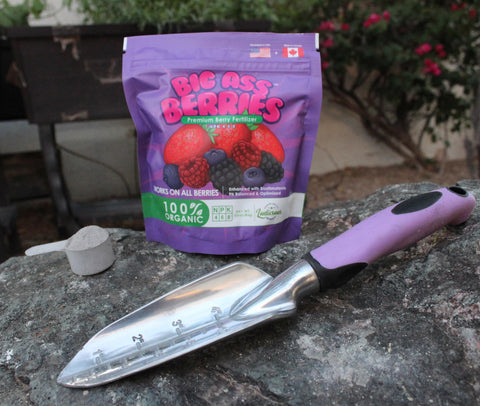 Big Ass Fertilizers Blueberry fertilizer bloom support for larger berries