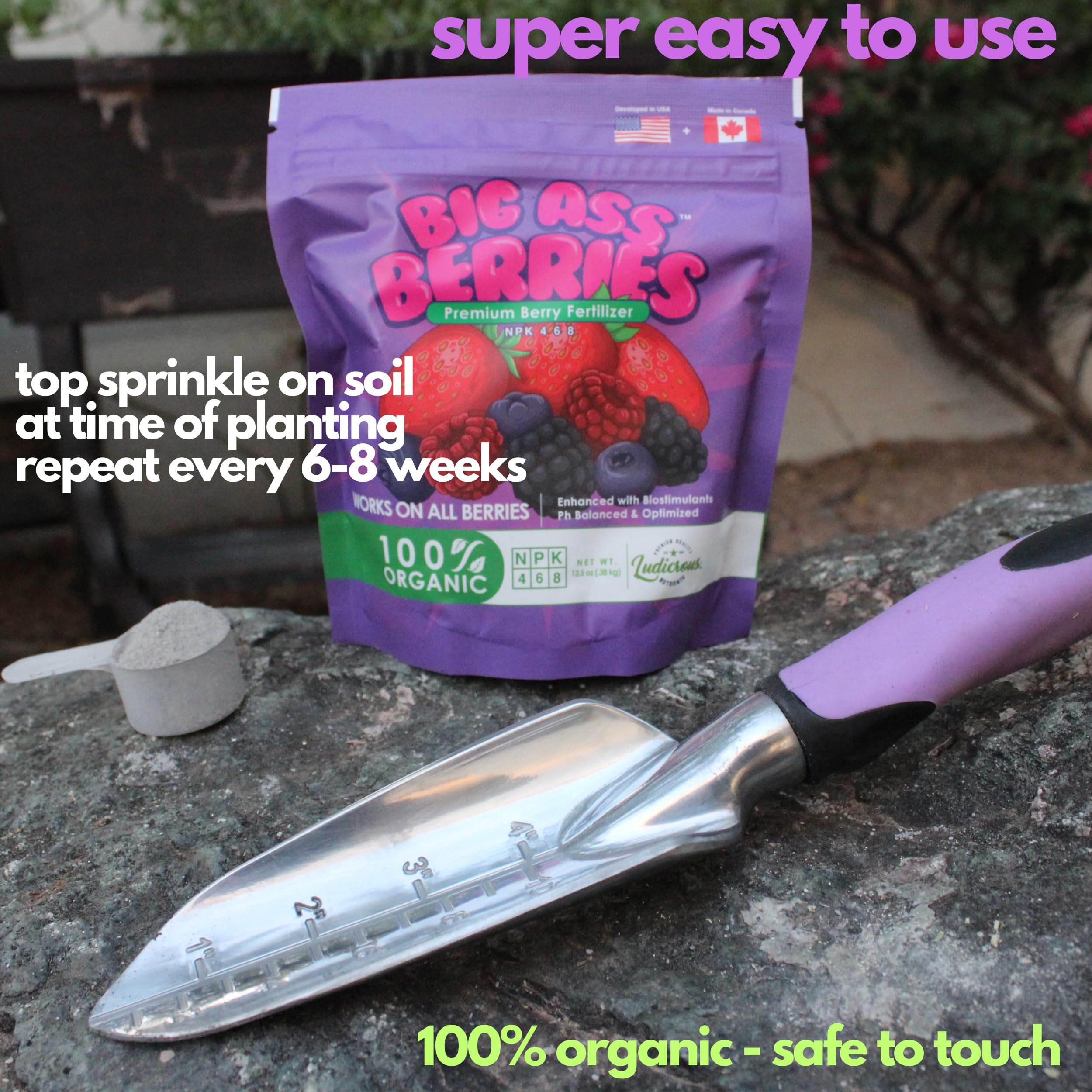 Big Ass Fertilizers Strawberry fertilizer application guides healthier fruit production