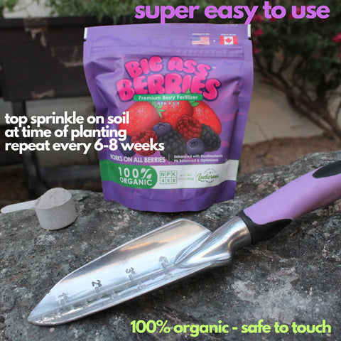 Big Ass Fertilizers Strawberry fertilizer application guides healthier fruit production